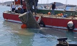 Bodrum'da deniz dibinden 130 ton katı atık çıktı