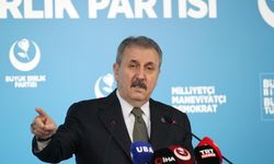 Destici: Genel affa karşıyız