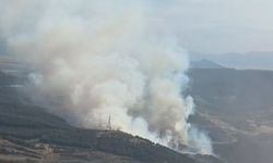 İzmir'de orman yangını