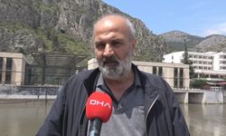 'Yeşilırmak'ta oksijen tükenmesinden dolayı balıklar ölüyor'