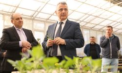 İlkadım'da Aromatik Bitkiler Yaygınlaşıyor