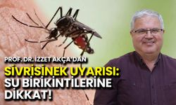 Sivrisinek Uyarısı: Su Birikintilerine Dikkat!