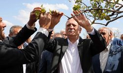 Bayraktar: Çiftçi Büyük Afet Yaşıyor, Destek Yetersiz