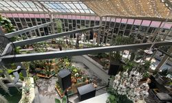 Botanik Sera’da kadınlara istihdam
