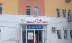 Diyarbakır’da yılanın ısırdığı çoban öldü