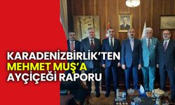 Karadenizbirlik’ten Mehmet Muş’a Ayçiçeği Raporu