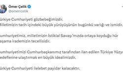 AK Parti'li Çelik: Türkiye Cumhuriyeti ilelebet payidar kalacak