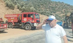 Aydın'da makilik ve zeytinlik alanda yangın çıktı (2)