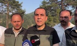 Çankırı'da orman yangını (2)