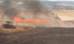 Çorum'da buğday tarlasındaki yangında 30 dönüm alan zarar gördü