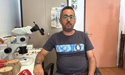 Dedektör köpekler, sınır kapılarında zararlı böcekleri tespit edecek
