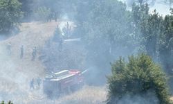 Kastamonu'da anız yangını ormana sıçradı; 10 hektar alan zarar gördü