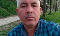 Kestiği ağacın altında kalıp öldü