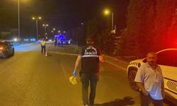 Yolun karşısına geçmek isterken canından oldu