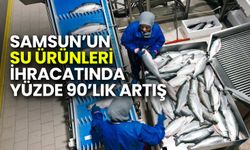 Samsun’un Su Ürünleri İhracatında Yüzde 90’lık Artış