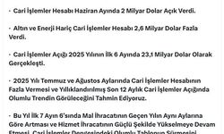 Bakan Bolat: Temmuz ve ağustos aylarında cari fazla bekliyoruz
