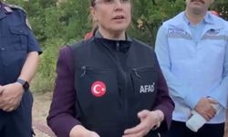 Bartın'da orman yangını (3)