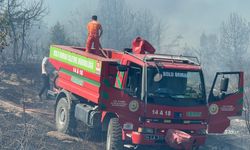 Bolu'da yerleşim yeri yakınında orman yangını