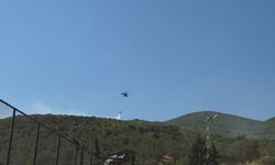Bursa'da maki yangını (2)