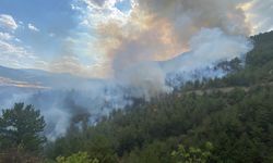Karabük'te orman yangını