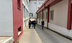 Kars'ta darbe girişimine katılan 2 ihraç uzman çavuş, Adana'da yakalandı