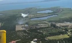Köyceğiz Gölü yakınlarındaki sazlık yangınında 1 hektar alan zarar gördü