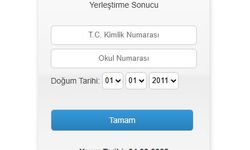 LGS yerleştirme sonuçları açıklandı