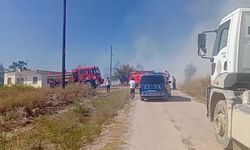 Osmaniye'de anız yangınında alevler makilik alana sıçradı