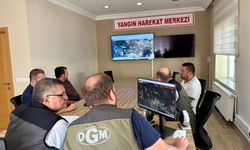 Sinop'taki orman yangını kontrol altına alındı