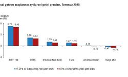 TÜİK: Aylık en yüksek reel getiri BIST 100 endeksinde oldu