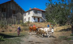 Uluslararası Ultra Abant 790 sporcunun katılımıyla koşuldu