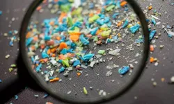 Bilimsel Araştırma: Mikroplastikler Akciğerlere Sızıyor