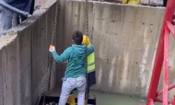 İnşaat alanında su dolu çukura düşen tilkiyi işçiler kurtardı