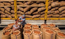 Fındık İhracatı Yüzde 53 Düştü, Fiyat 400 TL’yi Görebilir