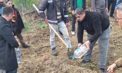 Kastamonu'da cansız bedenleri bulunan anne ve oğlu toprağa verildi