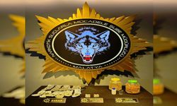 Malatya'da uyuşturucu operasyonu; 11 tutuklama