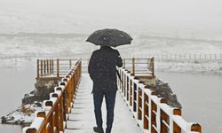 Ordu'nun yüksekleri beyaza büründü