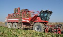 Pancar üreticisi fiyattan memnun