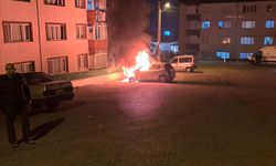 Park halindeki otomobil alev alev yandı