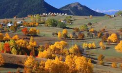 'Sakin şehir' Şavşat'ta sonbaharda renk cümbüşü / Video eklendi