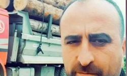 Üzerine ağaç devrilen kesim işçisi öldü