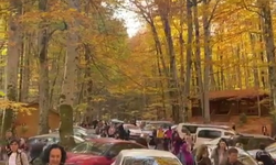 Yedigöller Milli Parkı, ziyaretçi akınına uğradı (2)