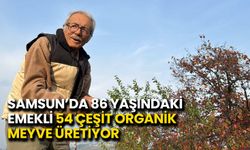 Samsun’da 86 Yaşındaki Emekli 54 Çeşit Organik Meyve Üretiyor