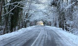 'Ağaç tünel yol'da beyaz güzellik