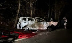 Ağaca çarpan hafif ticari aracın sürücüsü yanarak öldü