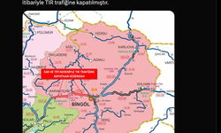 Bingöl'de kar yağışı; 100 köy yolu ulaşıma kapandı (4)