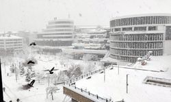 Bolu'da kar kalınlığı yarım metreye ulaştı