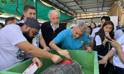 Caretta caretta 'Cumhuriyet'i 9 bin kişi izledi