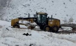 Erzincan'da 12 köy yolu, kardan kapandı