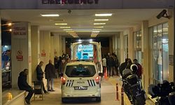 Evin bahçesine giren beton mikserinin altında kalan Hatice öldü, ağabeyi ağır yaralı